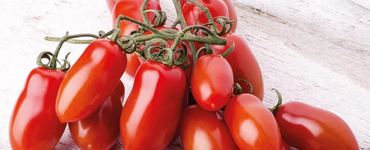 Sofranın kırmızı bombası