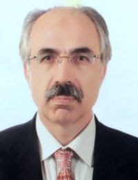 Ahmet Özel