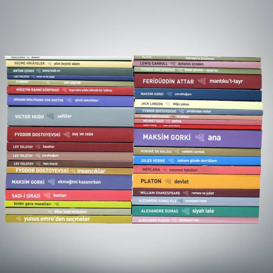 Antik Kitap Seti (40 Ölümsüz Klasik Kitap) - 1