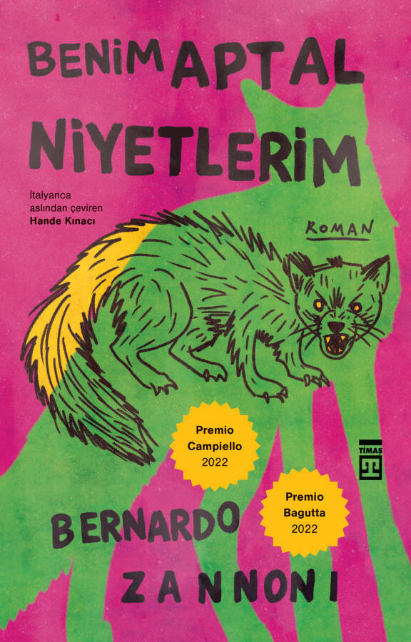 Benim Aptal Niyetlerim - 1