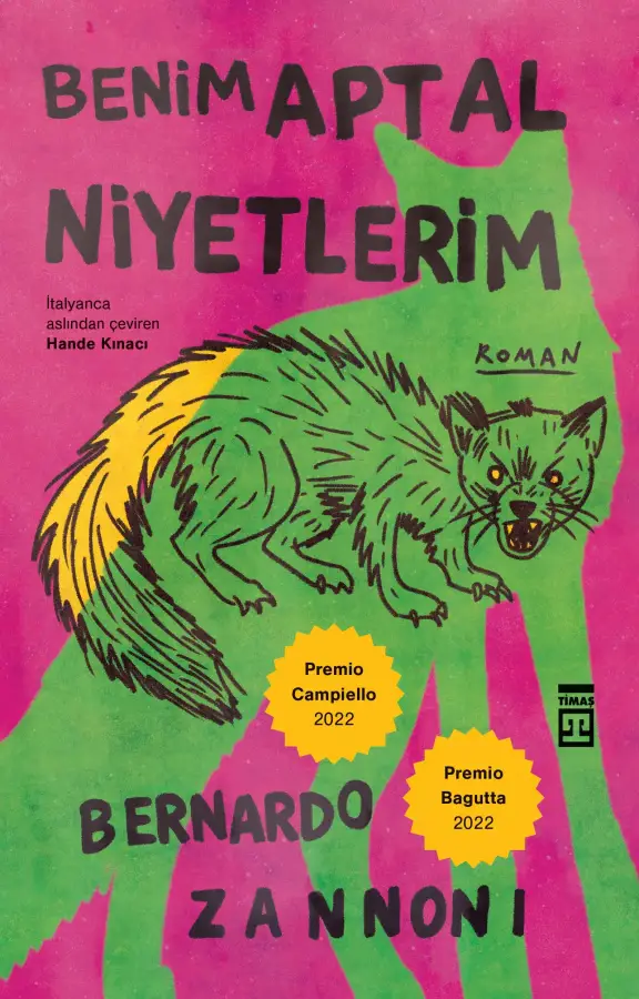 Benim Aptal Niyetlerim - 1