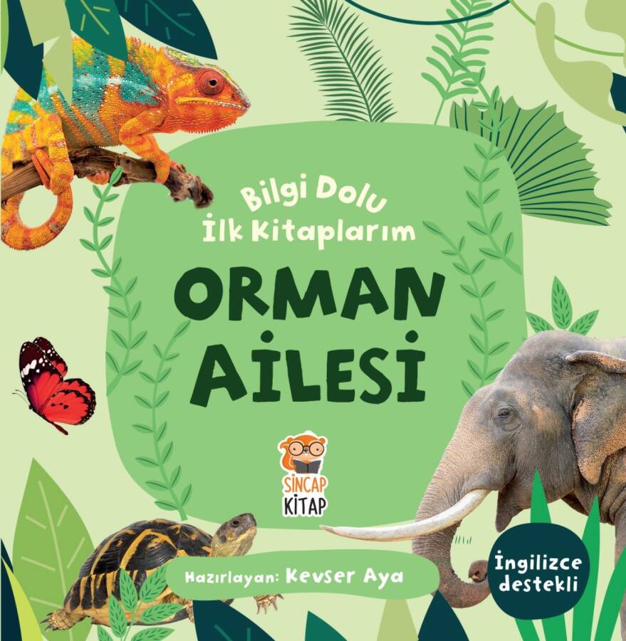 Bilgi Dolu İlk Kitaplarım Orman Ailesi - 1