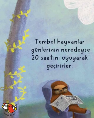 Bir Tembel Hayvan Ailesi Nasıl Yaşar? - 3