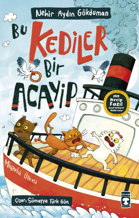 Bu Kediler Bir Acayip - 1