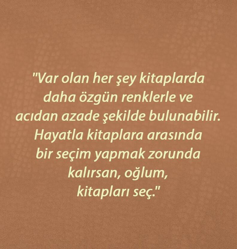 Bukalemunlar Kitabı - 3