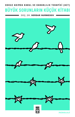 Büyük Sorunların Küçük Kitabı - Timaş Yayınları