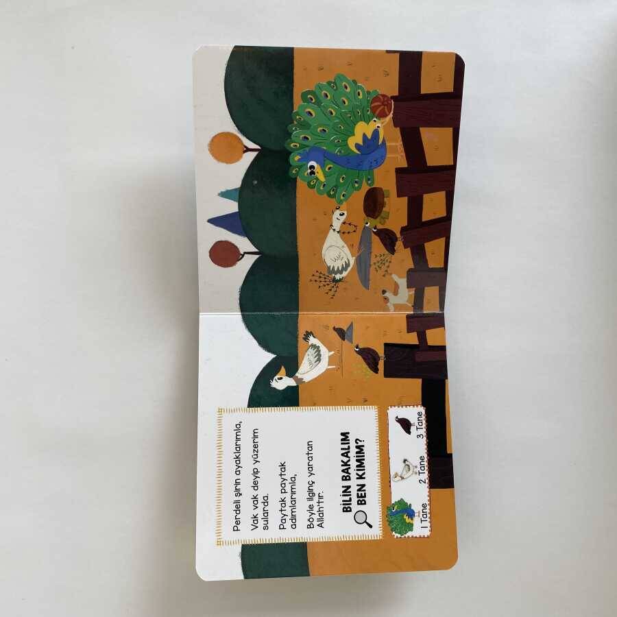 Çiftlikteki Hayvanlar - Ara Bul / Allah Ne Güzel Yaratmış - 2