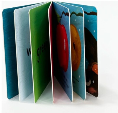 Colors - Baby University First Concepts Stories - 3