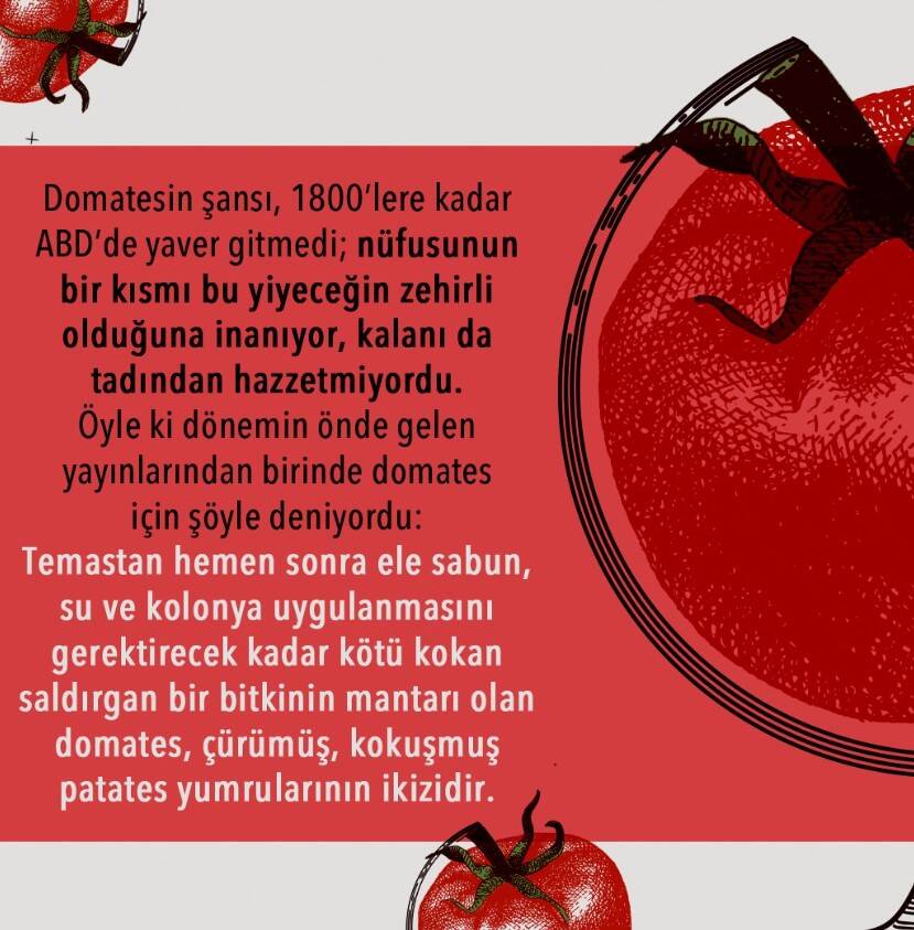 Dünyayı Değiştiren On Domates - 2
