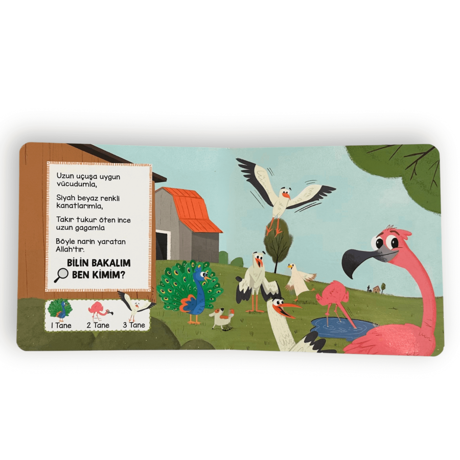 Havadaki Hayvanlar - Ara Bul / Allah Ne Güzel Yaratmış - 3