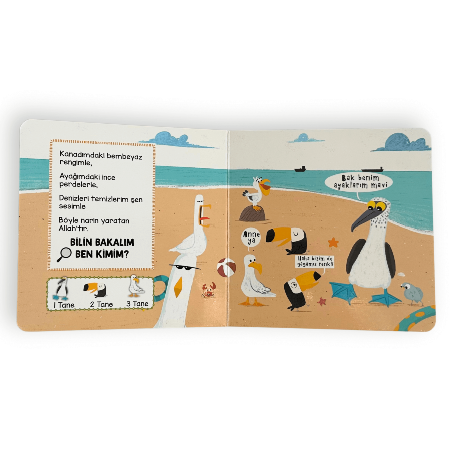 Havadaki Hayvanlar - Ara Bul / Allah Ne Güzel Yaratmış - 4