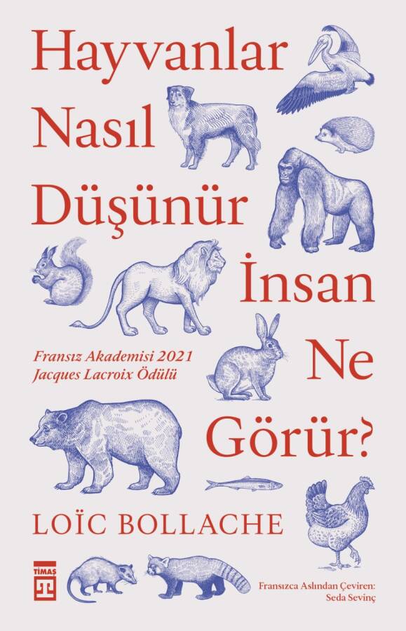 Hayvanlar Nasıl Düşünür İnsan Ne Görür - 1