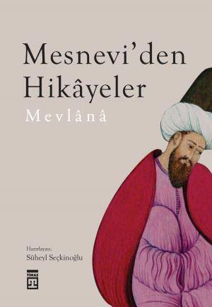 Mesneviden Hikayeler - 1