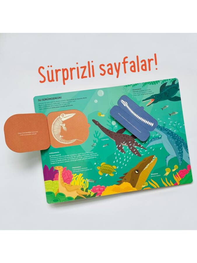 Ne Sorsan Bilir - Dinozorlar - 3