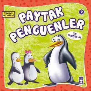 Paytak Penguenler İle Tanışalım - Sevimli Hayvanlar - 1