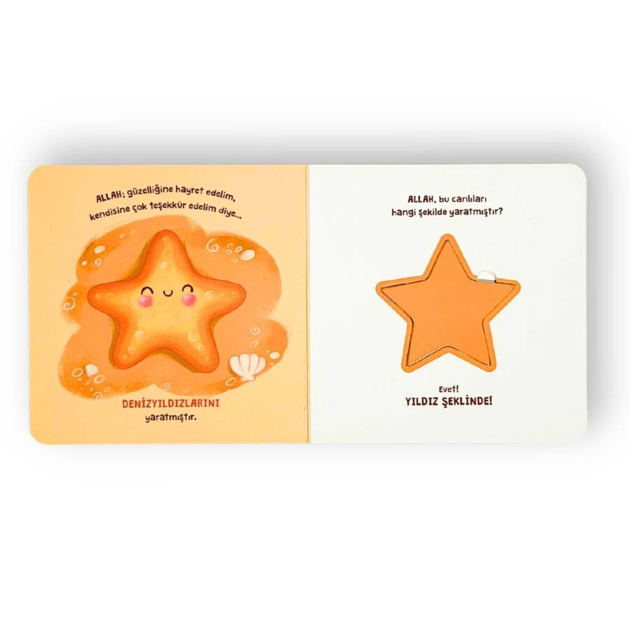 Rabbimi Biliyorum Şekilleri Öğreniyorum (Tak-Çıkar Kitap) - 4