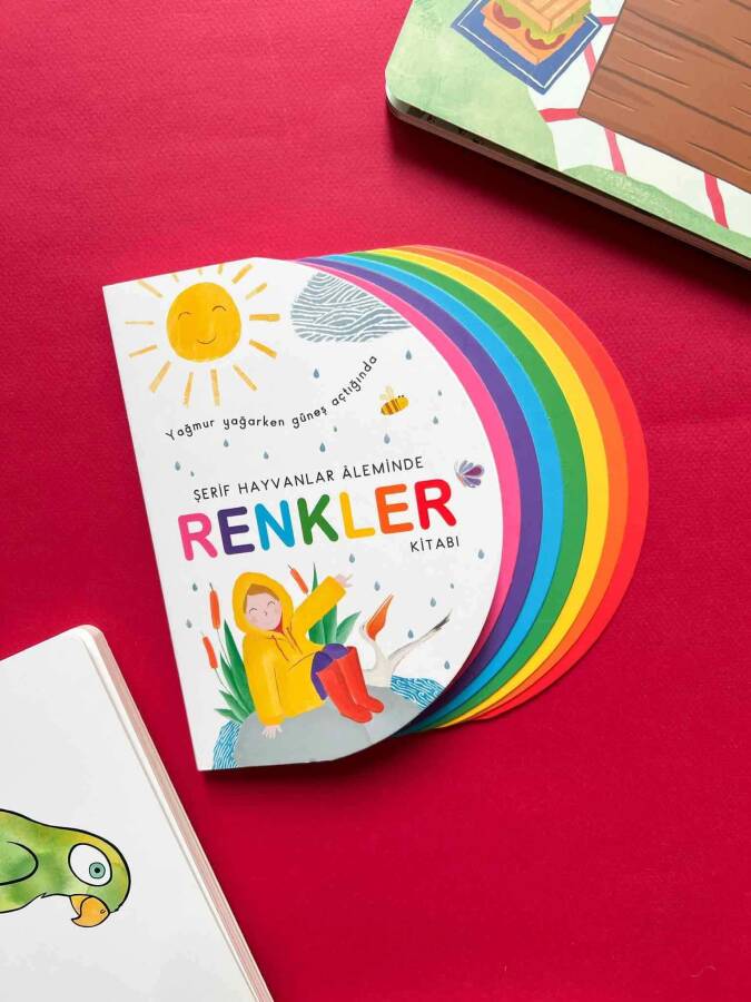 Renkler Kitabı - 4