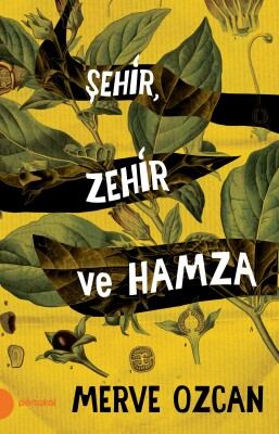 Şehir, Zehir ve Hamza - Portakal Kitap