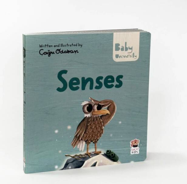 Senses - Baby University First Concepts Stories 2 - 1