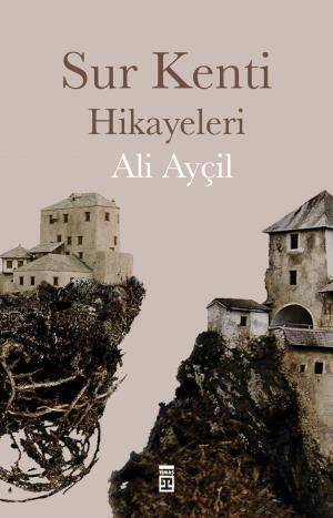 Sur Kenti Hikayeleri - 1