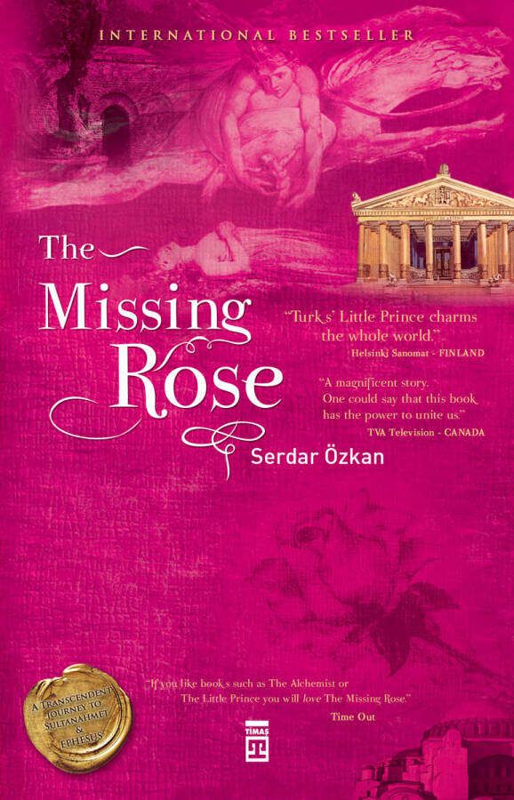 The Missing Rose - 1