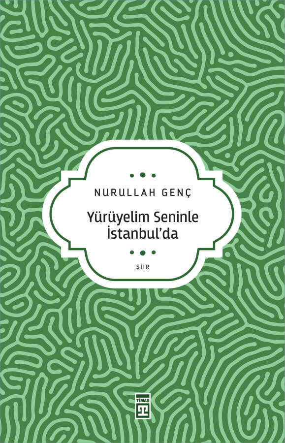 Yürüyelim Seninle İstanbulda - 1